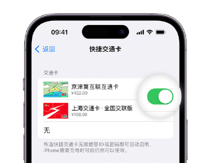 远安apple维修点分享iPhone上更换Apple Pay快捷交通卡手绘卡面 