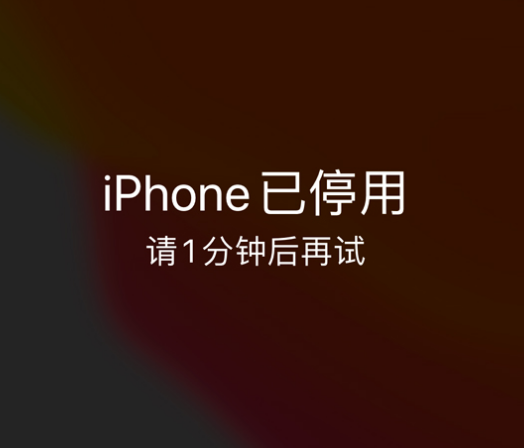 远安苹果手机维修分享:iPhone 显示“不可用”或“已停用”怎么办？还能保留数据吗？ 