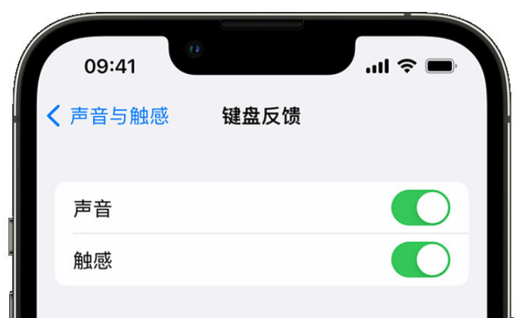 远安苹果手机维修分享iPhone 14触感键盘使用方法 