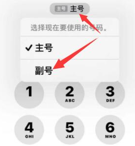 远安苹果14维修店分享iPhone 14 Pro Max使用副卡打电话的方法 