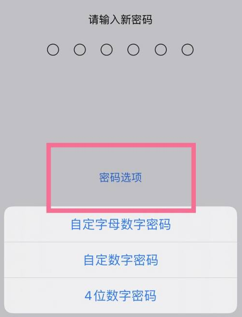 远安苹果14维修分享iPhone 14plus设置密码的方法 