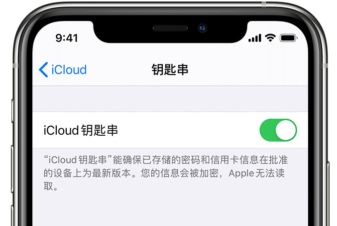 远安苹果手机维修分享在 iPhone 上开启 iCloud 钥匙串之后会储存哪些信息 